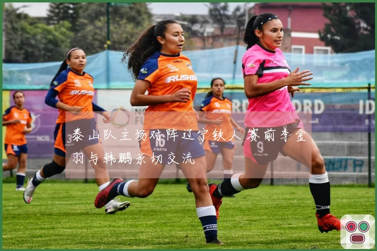 泰山队主场对阵辽宁铁人 赛前李金羽与韩鹏亲切交流