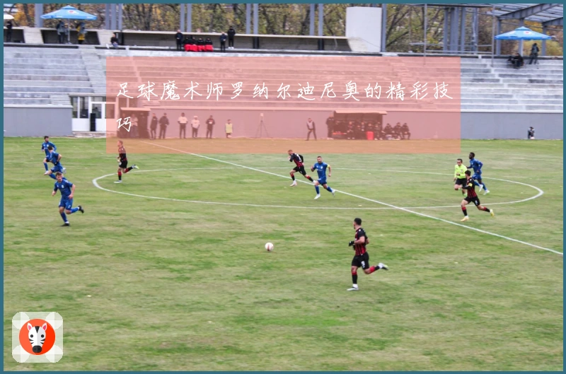足球魔术师罗纳尔迪尼奥的精彩技巧