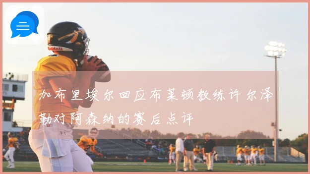 加布里埃尔回应布莱顿教练许尔泽勒对阿森纳的赛后点评
