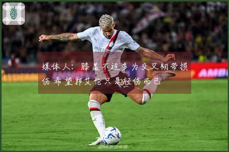 媒体人:膝盖不适多为交叉韧带损伤 希望郭艾伦只是轻伤而已